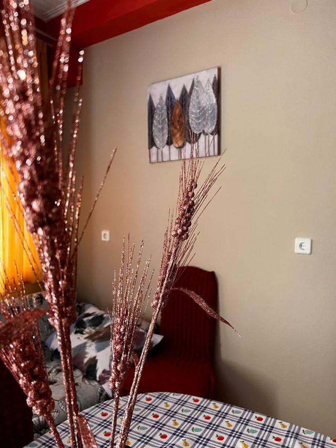 Teo'S House 3 Apartman Kalambáka Kültér fotó