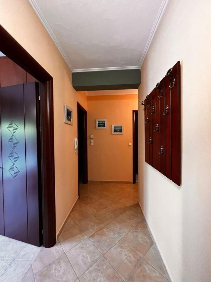 Teo'S House 3 Apartman Kalambáka Kültér fotó