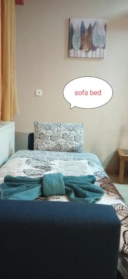 Teo'S House 3 Apartman Kalambáka Kültér fotó